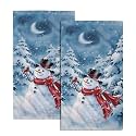Giwawa Blue Snowman Hand Towels Set of 2 Winter Snow Bathroom Kitchen Towels Soft Absorbent Bath Fingertip Decorative Towel for Guest Gym Spa