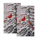 Giwawa Red Bird Hand Towels Winter Berry Bathroom Decorative Bath Towels Set of 2 Soft Absorbent Dish Fingertip Towels for Home Kitchen Gym