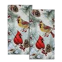 Giwawa Winter Birds Hand Towels Set of 2 Pine Cone Berry Bath Towel Soft Absorbent Dishcloth Tea Towel for Kitchen Bathroom Home Hotel Gym Decor