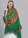 GK VILLA Wool Embroidered Women Shawl (Green)