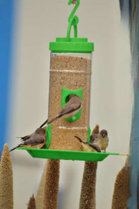 GKWings Hanging Bird Feeder for Garden