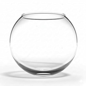 glass fish bowl 10 39inches without neck less glass 65l