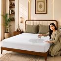Glassiano Cotton Feel Terry Ultra Soft Waterproof Mattress Protector | Breathable - Hypoallergenic Mattresses Cover with Elastic Strap for Queen Bed (75x60 inch|6.2x5 feet, LuxW - Pack of 1)