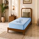 Glassiano Cotton Feel Terry Ultra Soft Waterproof Mattress Protector | Breathable - Hypoallergenic Mattresses Cover with Elastic Strap for Single Bed (78x30 inch|6.5x2.5 feet, Sky Blue - Pack of 1)