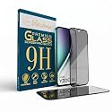GlassVerse Privacy Tempered Glass for Vivo Y300