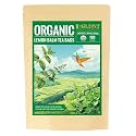 GLDNT Organic Lemon Balm Tea Bags, Lemony Flavor, Caffeine Free, 100 Count