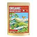GLDNT Organic Rosehips Tea Bags, Organic Rose Hips, Fruity Flavor and Aroma, Caffeine Free, 100 Count