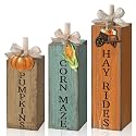 GlikCeil 3 Pcs Fall Table Decoration, Thanksgiving Tiered Tray Decor