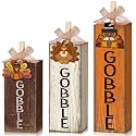 GlikCeil 3 Pcs Thanksgiving Table Decor Wooden Turkey Centerpiece