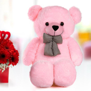 globle star 3 feet gift kids gift for loversoft teddy bear  - 9002 cm pink
