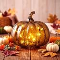 Glooglitter Mercury Glass Pumpkin Light LED Fall Lamp, Round, Amber, Small