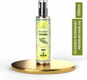 Glosseo Rosemary Premium Hair Oil Hair Growth