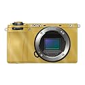 Glossy Glitter Camera Skin Compatible with Sony A6700 Mirrorless Camera (2023) - Solid Marigold - Premium 3M Vinyl Protective Wrap Decal Cover - Easy to Apply | Crafted in the USA by MightySkins
