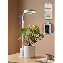 GLOWRIUM Smart Desktop Grow Light for Indoor Plants, Full Spectrum LED