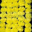 Marigold Fluffy Reusable Artificial Flowers Garlands Door Toran Set/Door Hangings for Decoration (4.5ft - 5) (Pack of 5 Strings)