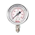 Glycerin Filled Bottom Pressure Gauge 0-21kg/cm2 (0-300psi), 63mm (2.5inch) Dial Size, 1/4BSP Male Connection, Direct Mounting Bottom Entry