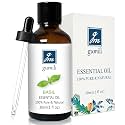 GM Gumili Basil Essential Oil, 1 Oz