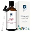 GM Gumili Cherry Blossom Essential Oil, Floral Perfume Oil for Women, 100mL