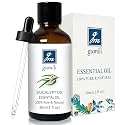 GM Gumili Eucalyptus Essential Oil for Diffuser, Skin, DIY Blends, 1 Oz