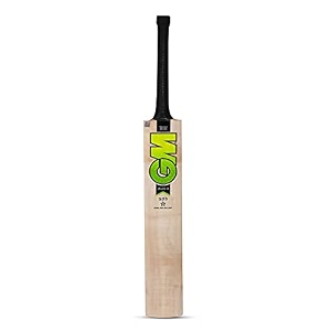 gm zelos ii 303 english willow short handle cricket bat size-4