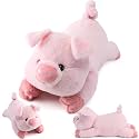 gnomantic Pig Weighted Stuffed Animals, Plush Pillow for Kids