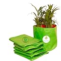 Go Garden 6 x 6 Small Size Gardening Green Grow Bag for Vegetables Fruits Flower, Pack of 10 Grow Bag