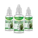 Go Garden Bamboo & Aquatic Plant Food Liquid | Nutrients for Lucky Bamboo, Money Plant & Water Plants | Faster Growth & Greener Leaves | Easy Drop Application | 50 ml x3