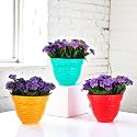 Go Hooked Plastic Planter Pots Set of 3 | Multicolor Flower Pots Perfect for Home, Office &amp; Garden Décor | Amaze Small Pot 8 Inch for Indoor &amp; Outdoor Plants | Durable, Lightweight &amp; Modern Design