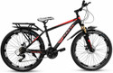GOAL Imported Frame Double Disc 21