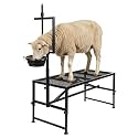 Goat Stand with Feed Bin, 600 LBS Metal, 47x23 in Black