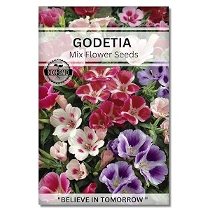 navika seeds  grow with us godetia flower seedsperfect for home amp terrace gardening winter amp summer blooms in india-includes free e-book for kitchenbackyardgardening amp plantinghigh germination