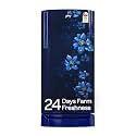 Godrej 183 L 2 Star 5 Years Comprehensive Warranty | Farm Fresh Crisper Technology | Turbo Cooling Technology | Direct Cool Single Door Refrigerator (RD R190B THF BR BL, Berry Blue)
