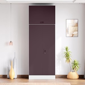 interio by godrej slimline 2 door steel almirah matte alpine white and semigloss black plum  1 year warranty locker 4 shelves overhead unit