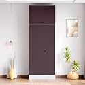 Interio by Godrej Slimline 2 Door Steel Almirah (Matte Alpine White and Semigloss Black Plum) + 1 Year Warranty, Locker, 4 Shelves, Overhead Unit