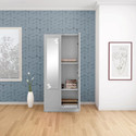 Interio by Godrej Slimline 2 Door with 2 shelves with Star Design Mirror Metal Almirah