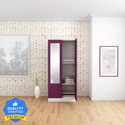 Interio by Godrej Slimline 2 Door with 2 shelves with Star Design Mirror Metal Almirah