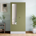 Godrej Interio Slimline 2 Door with 2 shelves with Star Design Mirror Metal Almirah (Finish Color - Olive Branch, Knock Down)