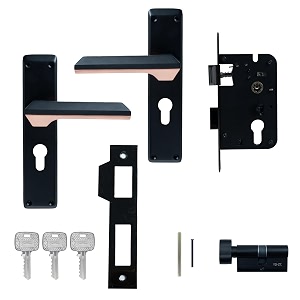 Godrej Mortise Lock 200mm Plate