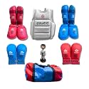 Gokaido Professional Quality Karate Full kit Set (M)