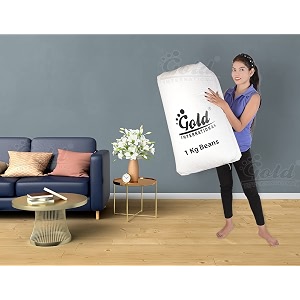 Gold Bean Bag Refill Fillers White 1