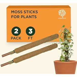 gold dust climber support 3ft pack of 2 moss sticks coir stick for plants
