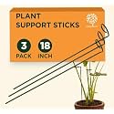 GOLD DUST Creeper Plant Support, (Round Trellis Pack 2), Plant Support Sticks, Plant Support for Climbers, Trellis for Climbing Plants, Money Plant Holder