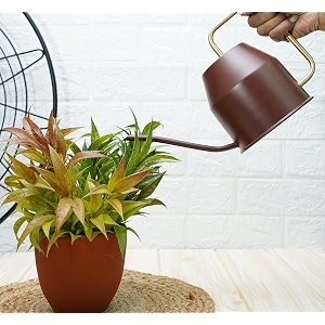 gold dust garden watering can watering can for plants plant watering can water can for plants watering cans watering equipment for garden brown 09 lt