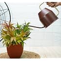 Gold Dust Garden Watering Can, Watering Can for Plants, Plant Watering Can, Water Can for Plants, Watering Cans, Watering Equipment for Garden (Brown (0.9 Lt))