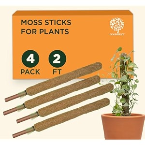 gold dust moss sticks for plants 2 feet pack of 4 money plant holder money plant support stick coir stick for plants coir pole