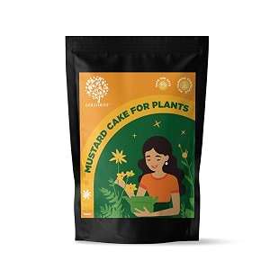 gold dust mustard cake fertilizer for plants plant growth booster sarso khali fertilizer for plant mustard cake powder for plants- 09kg