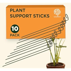 gold dust plant sticks support 18 inch 15 ft pack of 10 plant supporter plant holders for balcony plant holder stick money plant support stick money plant holder