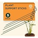 GOLD DUST Plant Support, 18 Inch (1.5 Ft Pack of 5), Sticks for Plants, Plant Holders for Balcony, Plant Holder Stick, Garden Stakes Metal, Money Plant Support Stick
