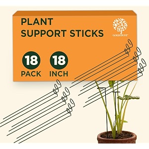 gold dust plant support sticks 18 inch 15 ft pack of 18 plant supporter garden stakes for plants home garden accessories climber support for plants money plant support stick