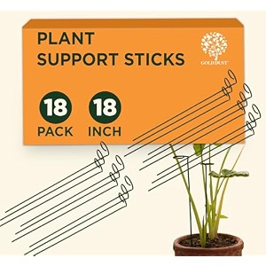 gold dust plant support sticks 18 inch 15 ft pack of 18 plant supporter garden stakes for plants home garden accessories climber support for plants money plant support stick